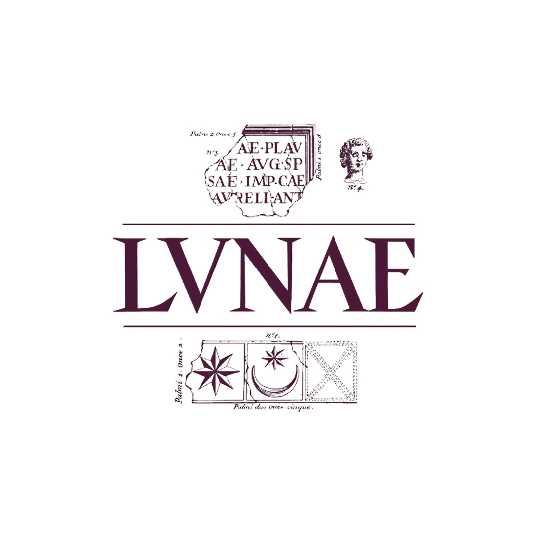 LVNAE Logo LVNAE Logo