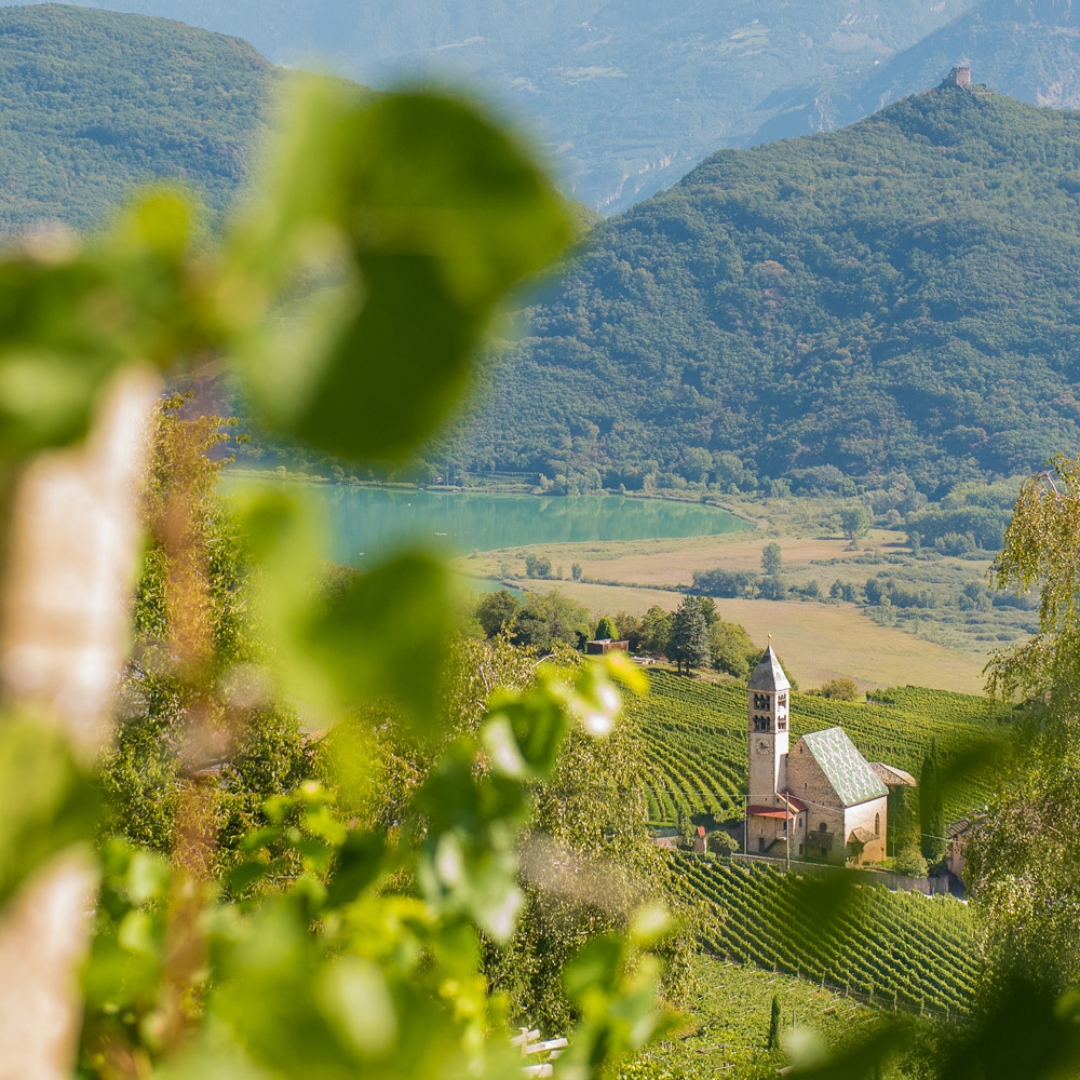 Cantina Tramin
