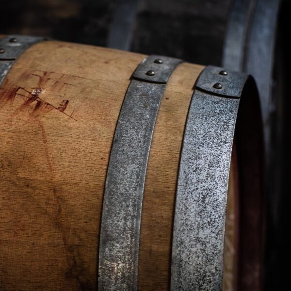Langhe Wine Experience